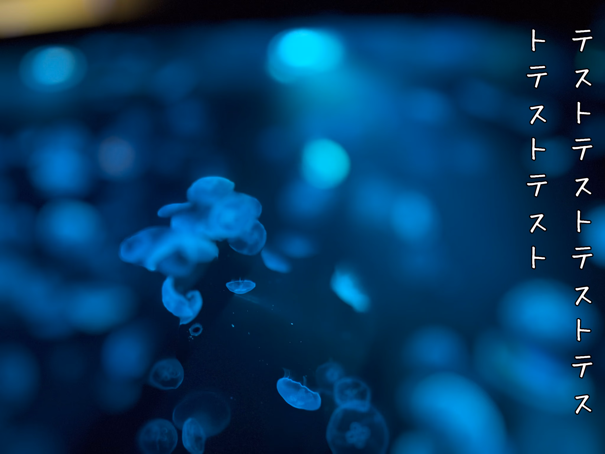 テストテストテストテストテストテスト