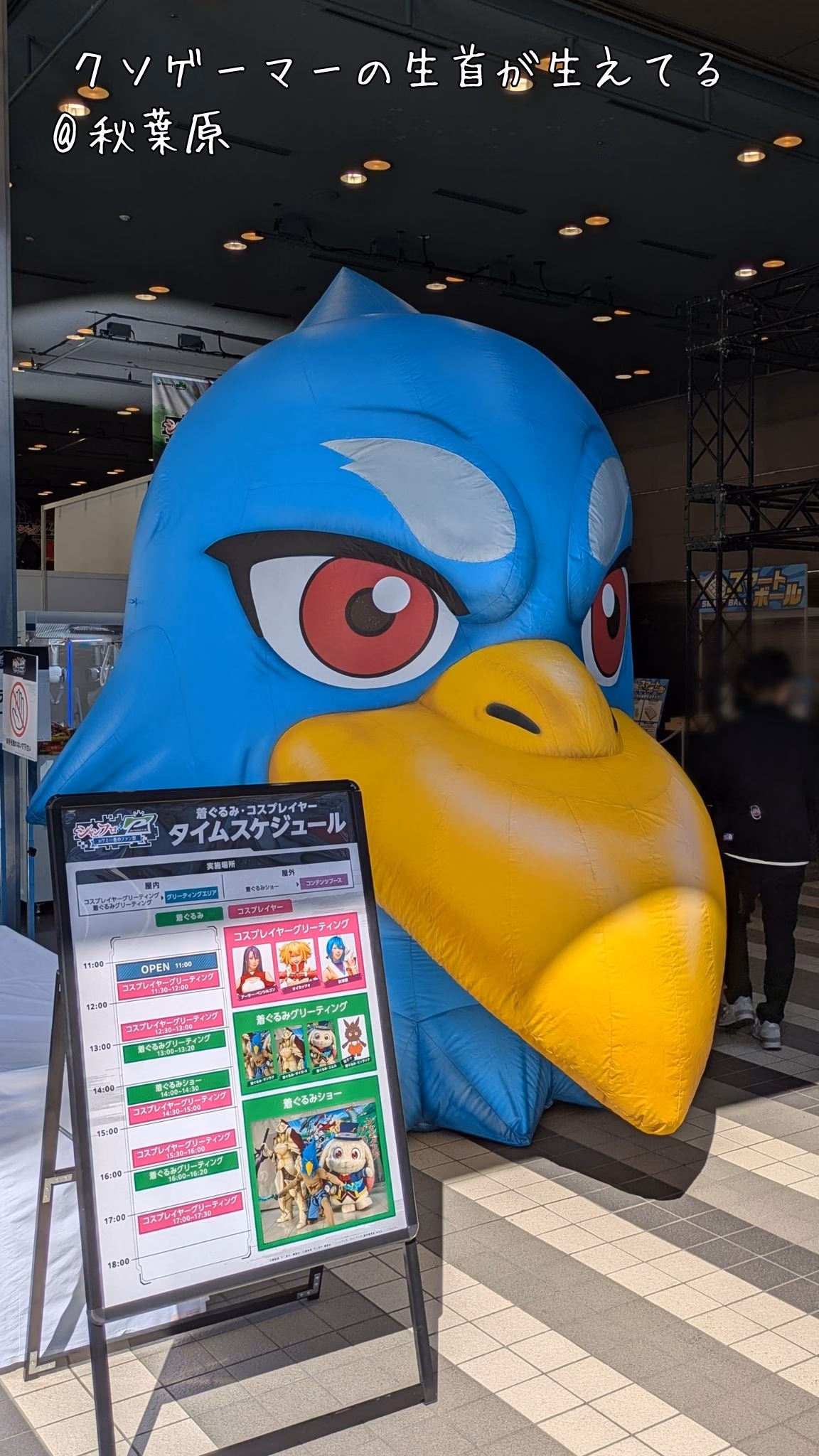 クソゲーマーの生首が生えてる
@秋葉原