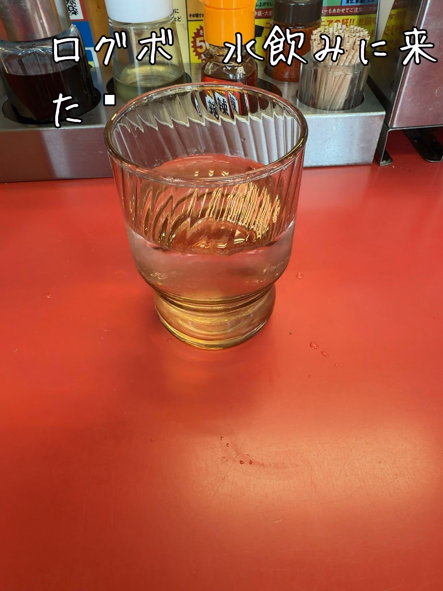 ログボ　水飲みに来た☕️