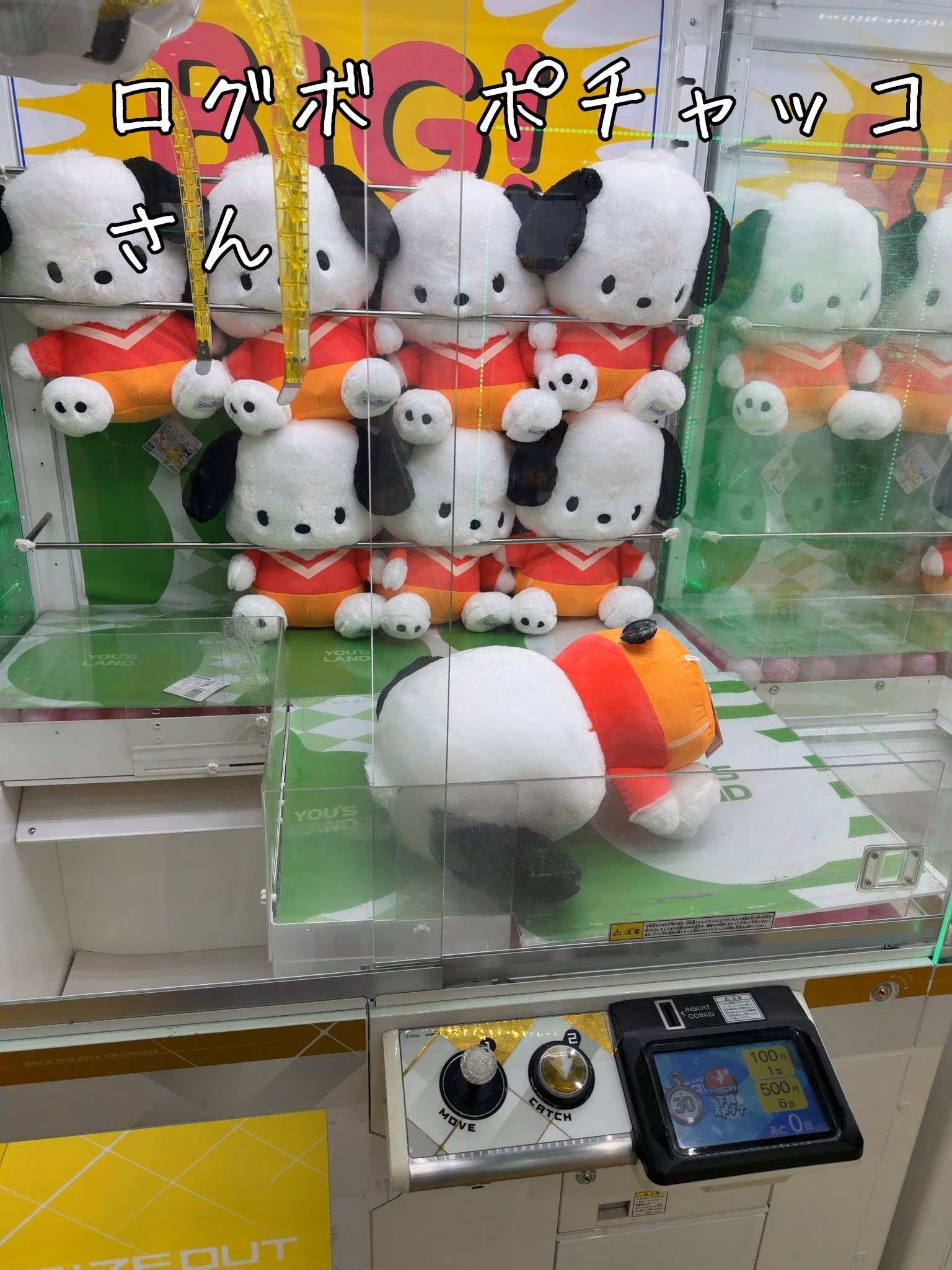 ログボ　ポチャッコさん