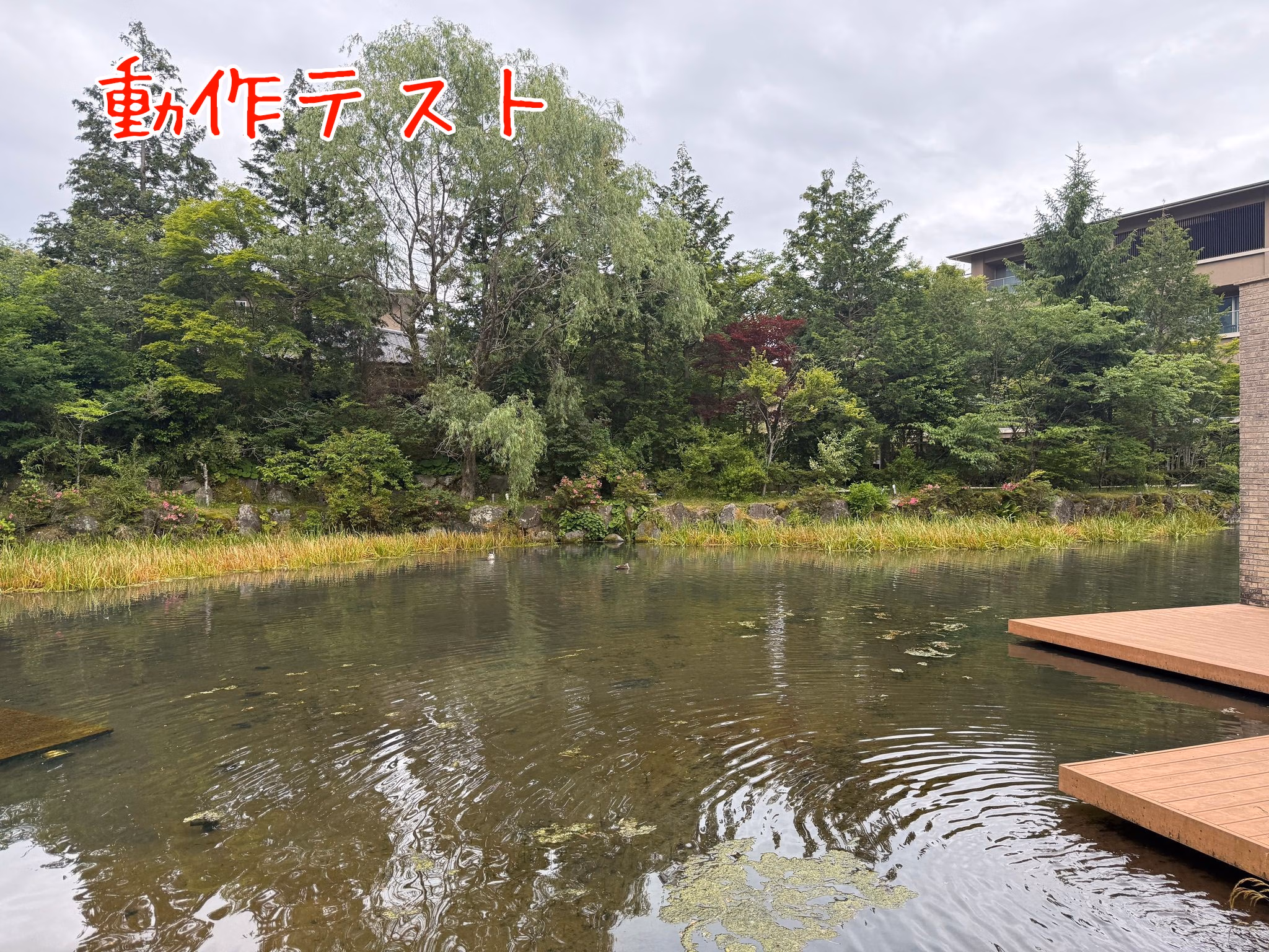 動作テスト